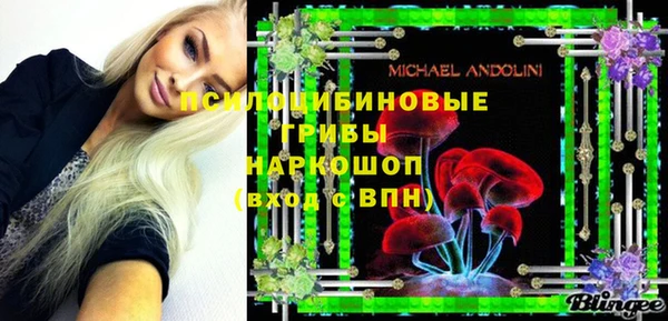 мдпв Киренск