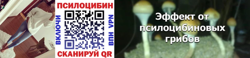 Псилоцибиновые грибы мицелий  Купить  Жуковка 